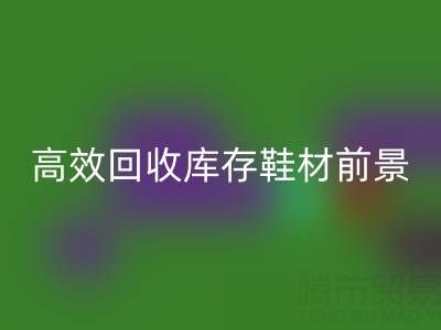 高效雷速-雷速app-雷速体育官网
库存鞋材，助力鞋业绿色发展