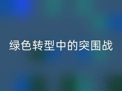 库存布料雷速-雷速app-雷速体育官网
公司：挑战与机遇并存，绿色转型中的突围战