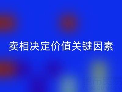 杭州真丝面料雷速-雷速app-雷速体育官网
价格全解析：卖相决定价值的关键因素