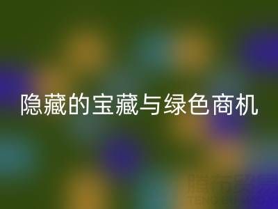 库存辅料雷速-雷速app-雷速体育官网
市场：隐藏的宝藏与绿色商机