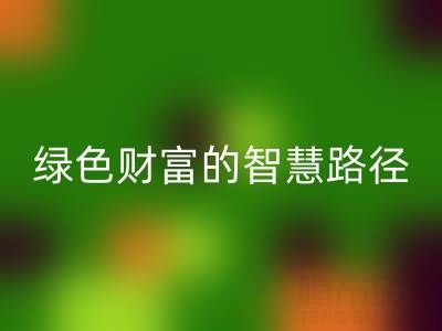 上海库存辅料雷速-雷速app-雷速体育官网
方式：变”沉睡资产”为绿色财富的智慧路径
