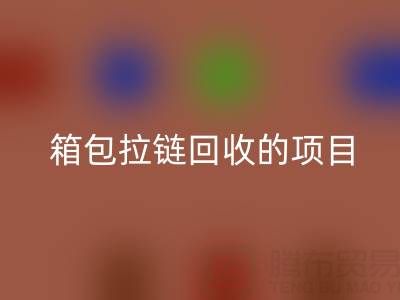  箱包拉链雷速-雷速app-雷速体育官网
项目的商业运营模式与盈利探索