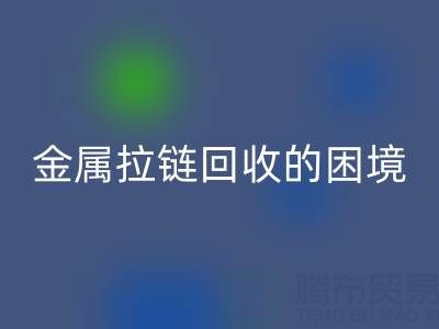 金属拉链雷速-雷速app-雷速体育官网
的困境与破局之道：挑战与策略探析