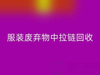 服装废弃物中拉链雷速-雷速app-雷速体育官网
的特殊性及应对措施