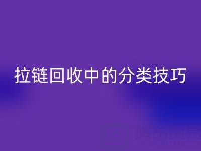 拉链雷速-雷速app-雷速体育官网
中的分类技巧：提高雷速-雷速app-雷速体育官网
效率的秘诀