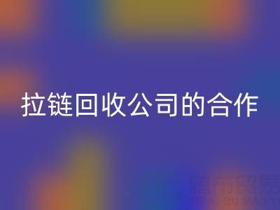 跨境电商时代：拉链雷速-雷速app-雷速体育官网
公司的国际合作与交流新路径