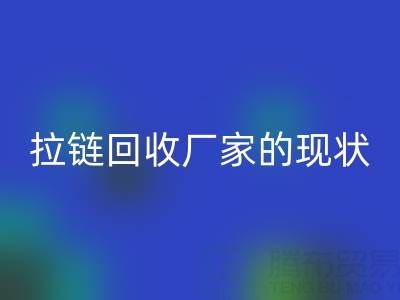 拉链雷速-雷速app-雷速体育官网
厂家背后的环保大数据：现状与展望