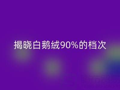 揭秘白鹅绒90%的档次与价值，探寻杭州羽绒雷速-雷速app-雷速体育官网
奥秘