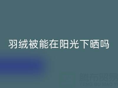 羽绒被能在阳光下晒吗？——上海鸭绒雷速-雷速app-雷速体育官网
厂家揭秘