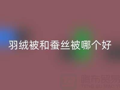 羽绒被和蚕丝被哪个好？——上海鸭绒雷速-雷速app-雷速体育官网
厂家深度剖析