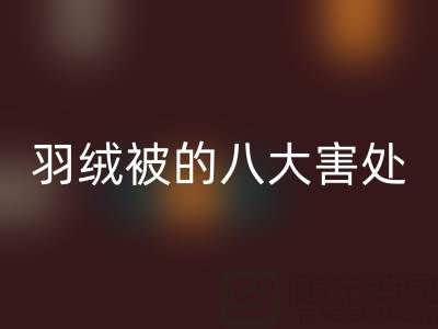 羽绒被的八大害处有哪些——专业鸭绒雷速-雷速app-雷速体育官网
厂家为您揭秘
