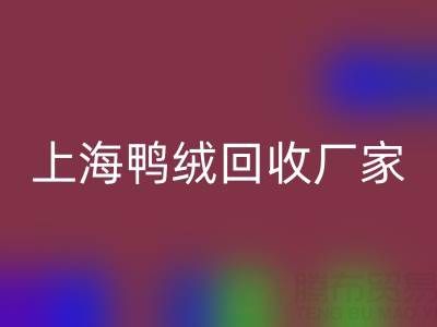 羽绒被内胆布料选购指南：上海鸭绒雷速-雷速app-雷速体育官网
厂家的专业建议