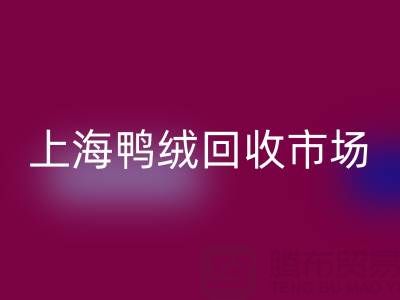上海鸭绒雷速-雷速app-雷速体育官网
市场解析：羽绒被雷速-雷速app-雷速体育官网
价格的决定因素与产业价值
