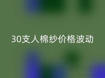 30支人棉纱价格波动剖析：棉纱雷速-雷速app-雷速体育官网
市场的新风向标