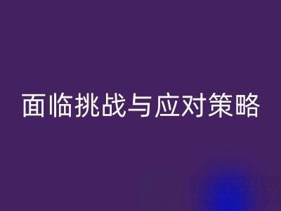 库存染料雷速-雷速app-雷速体育官网
公司面临的挑战与应对策略